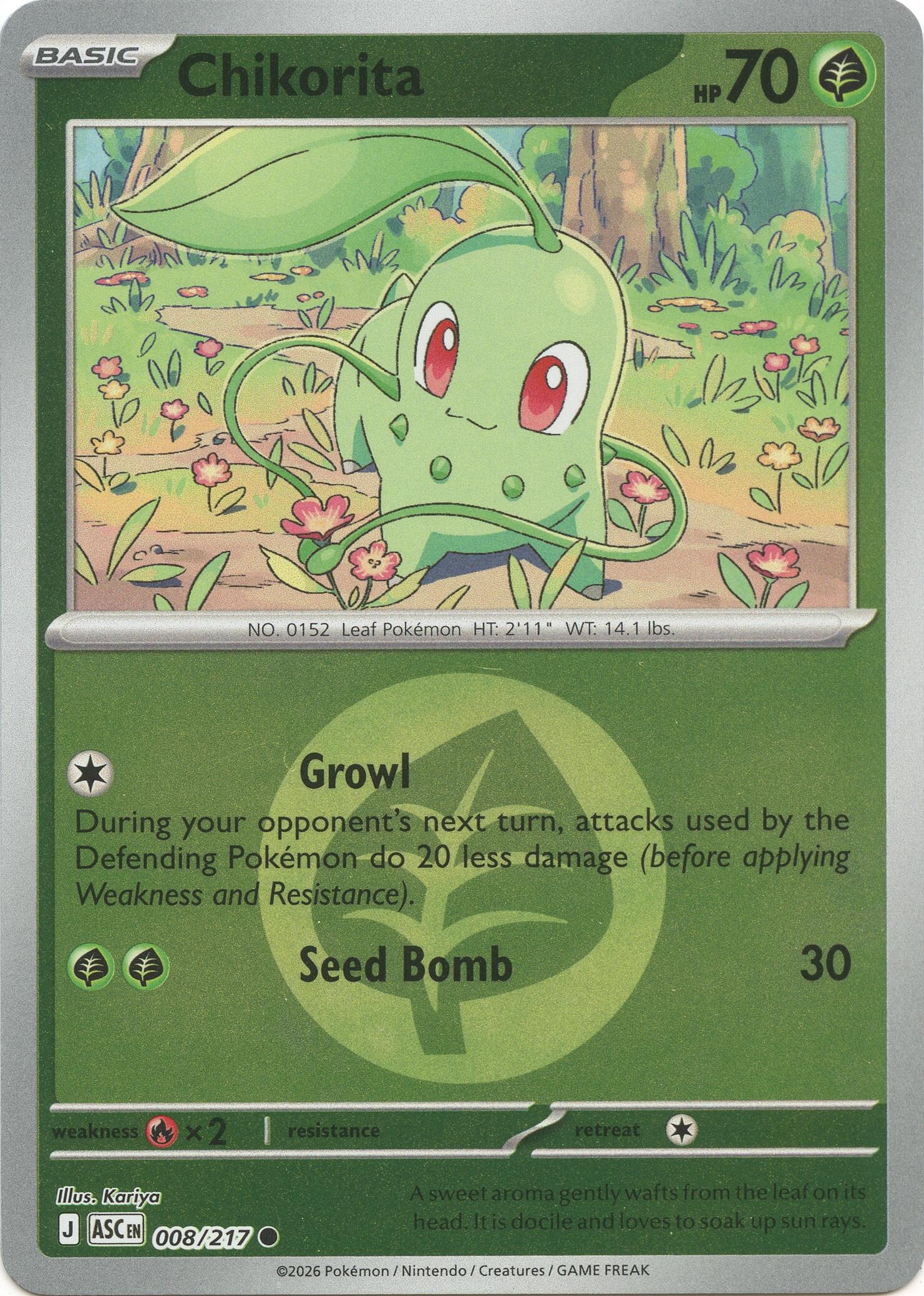 Chikorita (Energy Symbol Pattern) (008/217) (ASC)