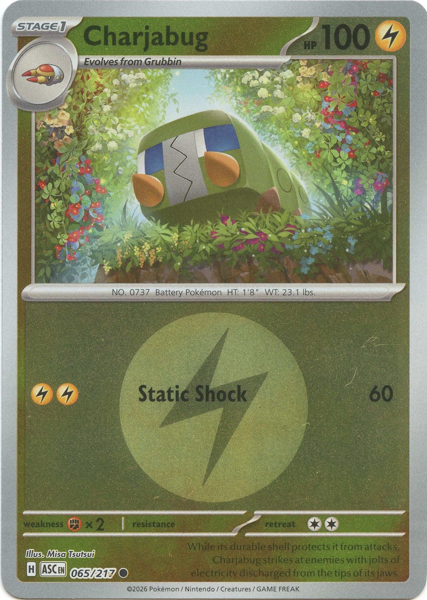 Charjabug (Energy Symbol Pattern) (065/217) (ASC)